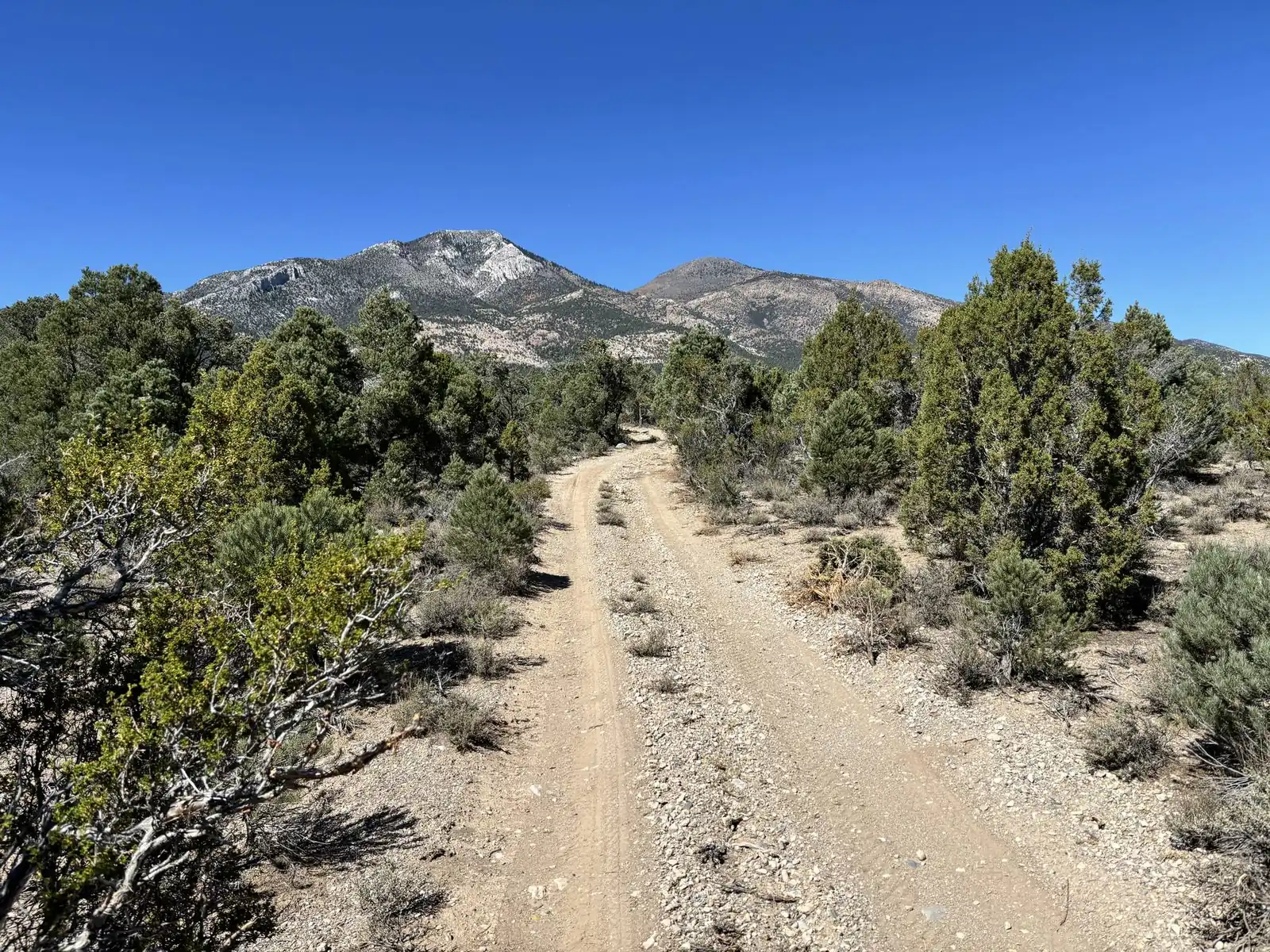 ATV and UTV riding