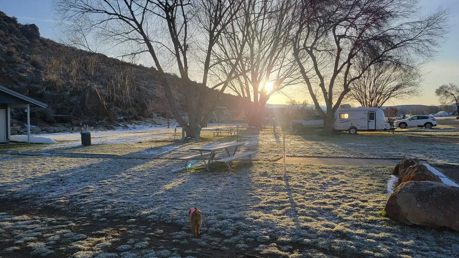 Frosty morning at the park