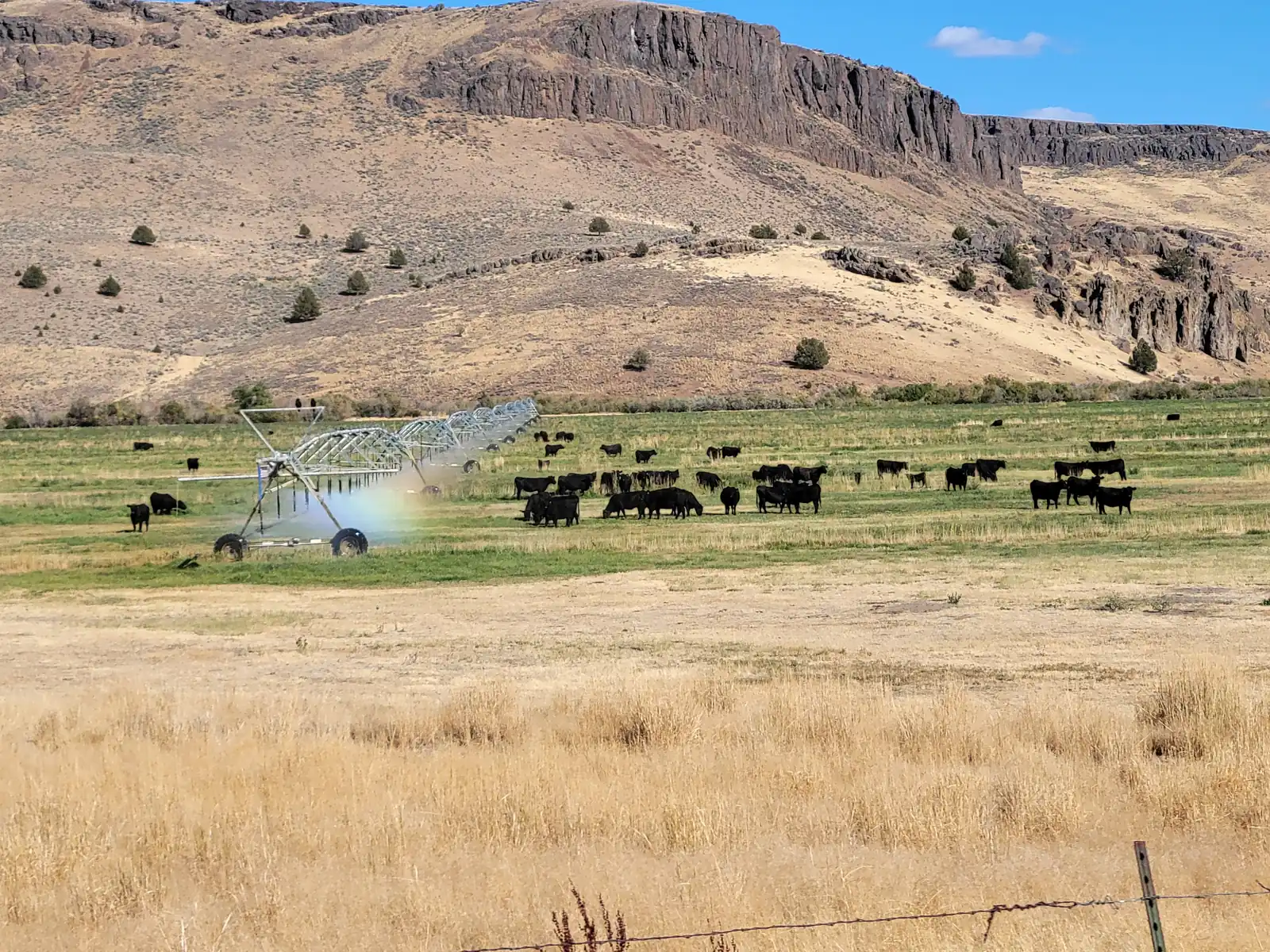 Owyhee country near Sunny Ridge