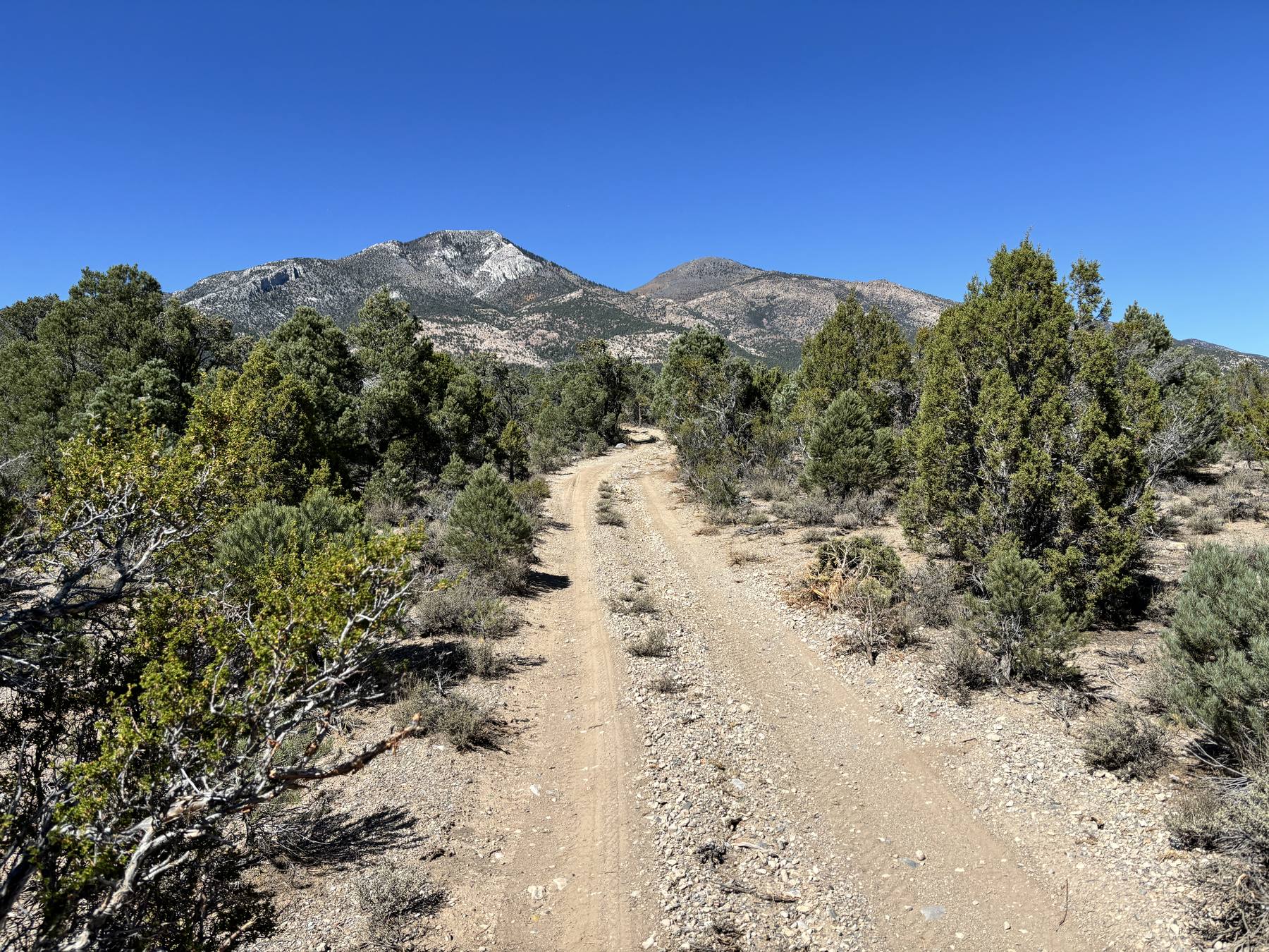A designated OHV trail winding through the high desert of the Owyhee country