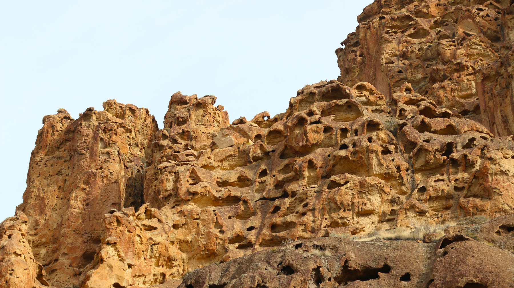 Towering eroded volcanic spires and honeycombed cliffs glowing gold in the late light at Leslie Gulch, Oregon