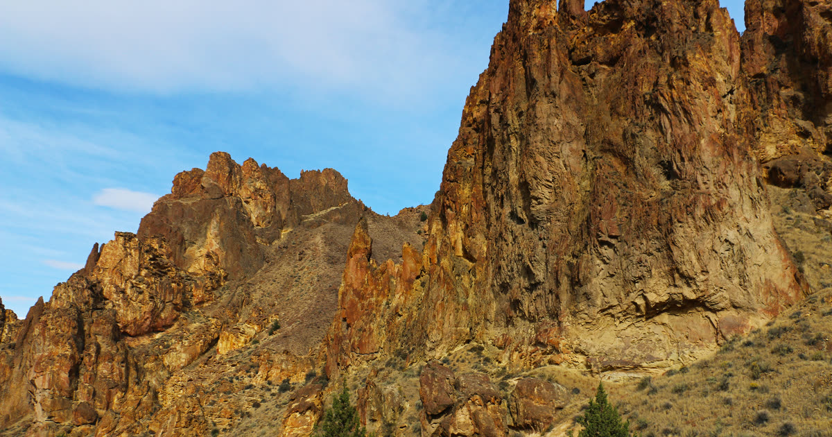 Honeycombed tafoni cavities pockmarking a tall cream-and-rust volcanic wall at Leslie Gulch