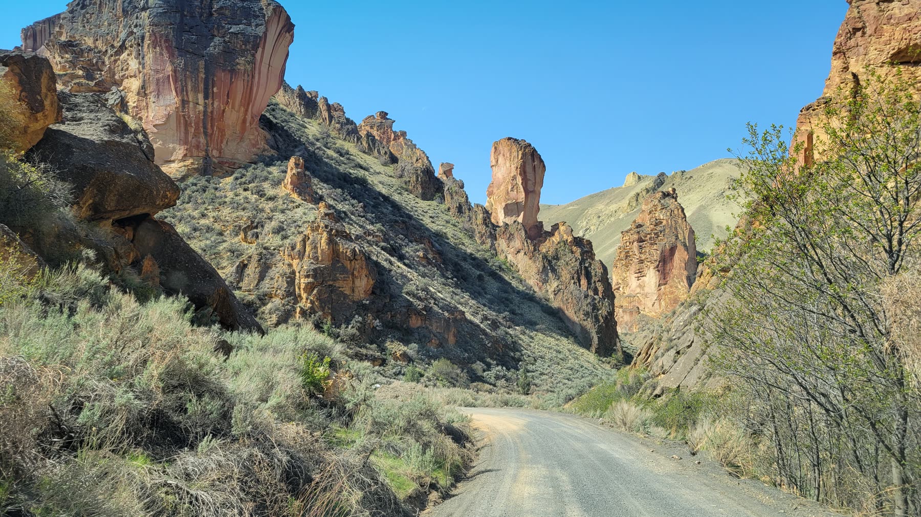 A gravel road winding down into Leslie Gulch between towering eroded canyon walls toward Owyhee Reservoir