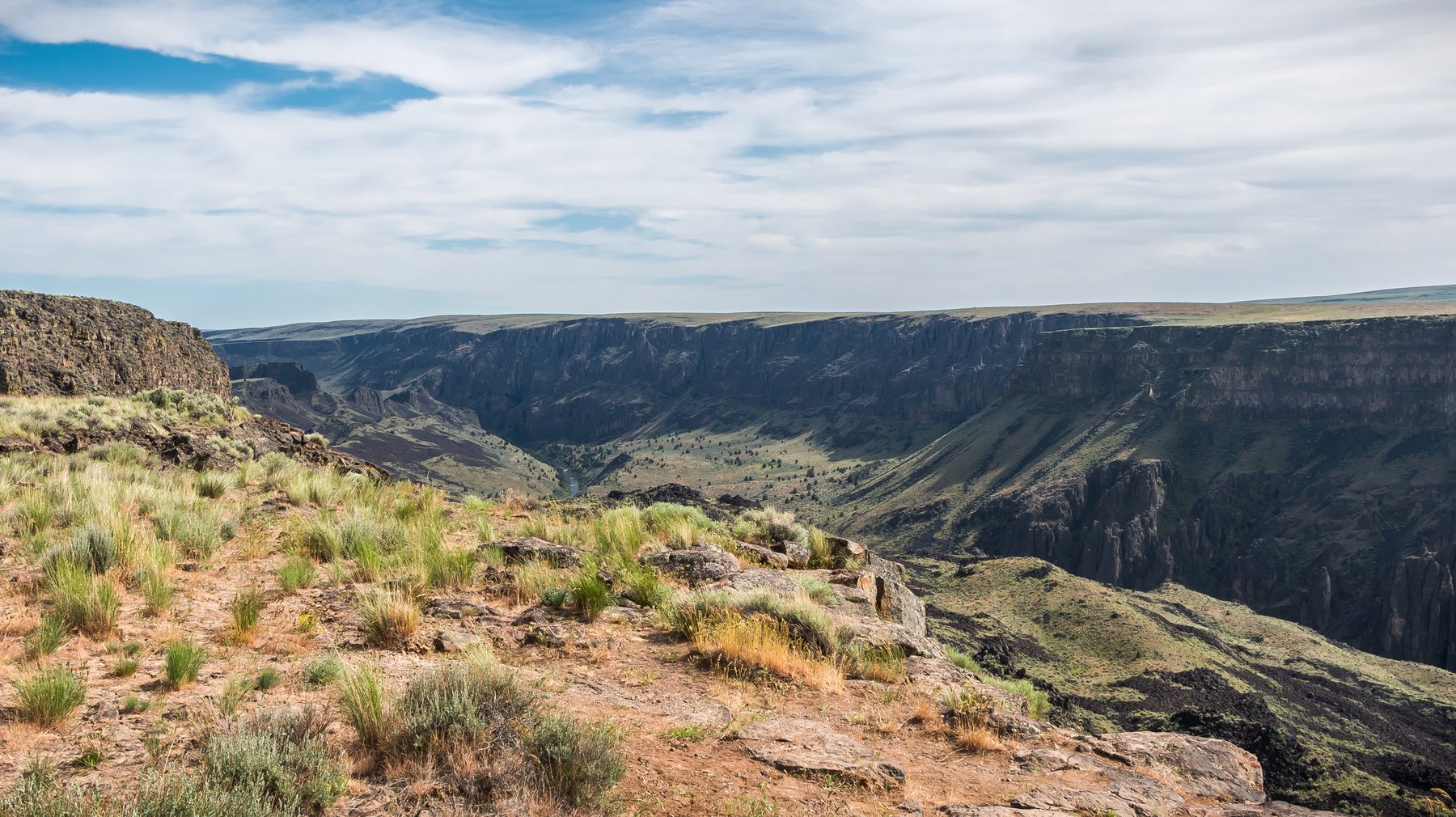 Afternoon view from the Owyhee Canyon Overlook into the deep, sage-covered canyon country of the Owyhee River system, southeastern Oregon