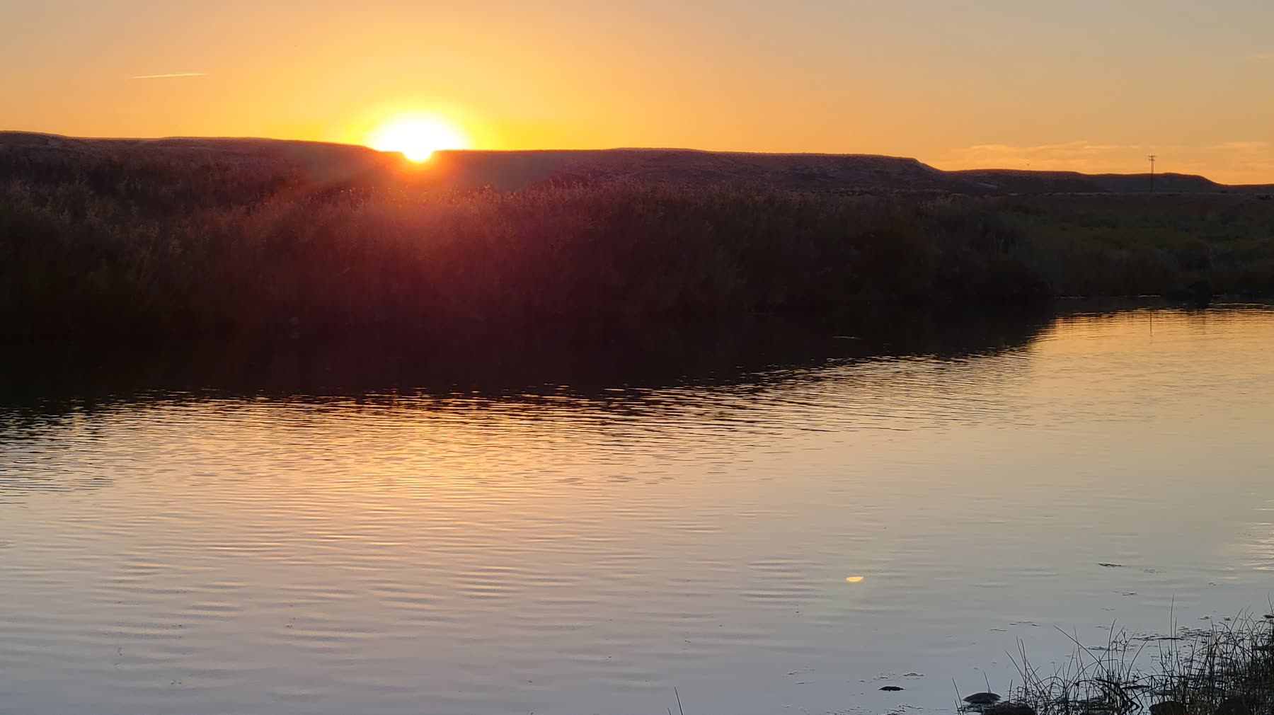Calm green water of the Owyhee River reflecting tall canyon walls at golden hour