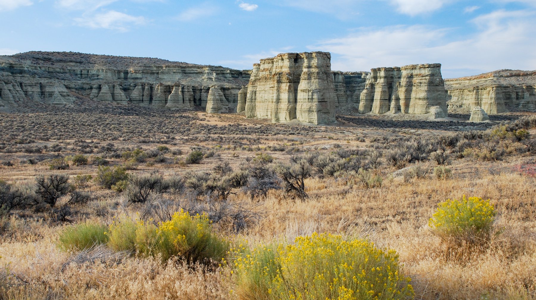 Pale eroded clay pillars rising above sagebrush flats and golden rabbitbrush in Malheur County, Oregon