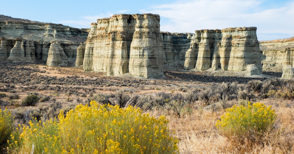Towering fluted clay pillars of Rome behind a foreground of golden rabbitbrush, near the community of Rome, Oregon