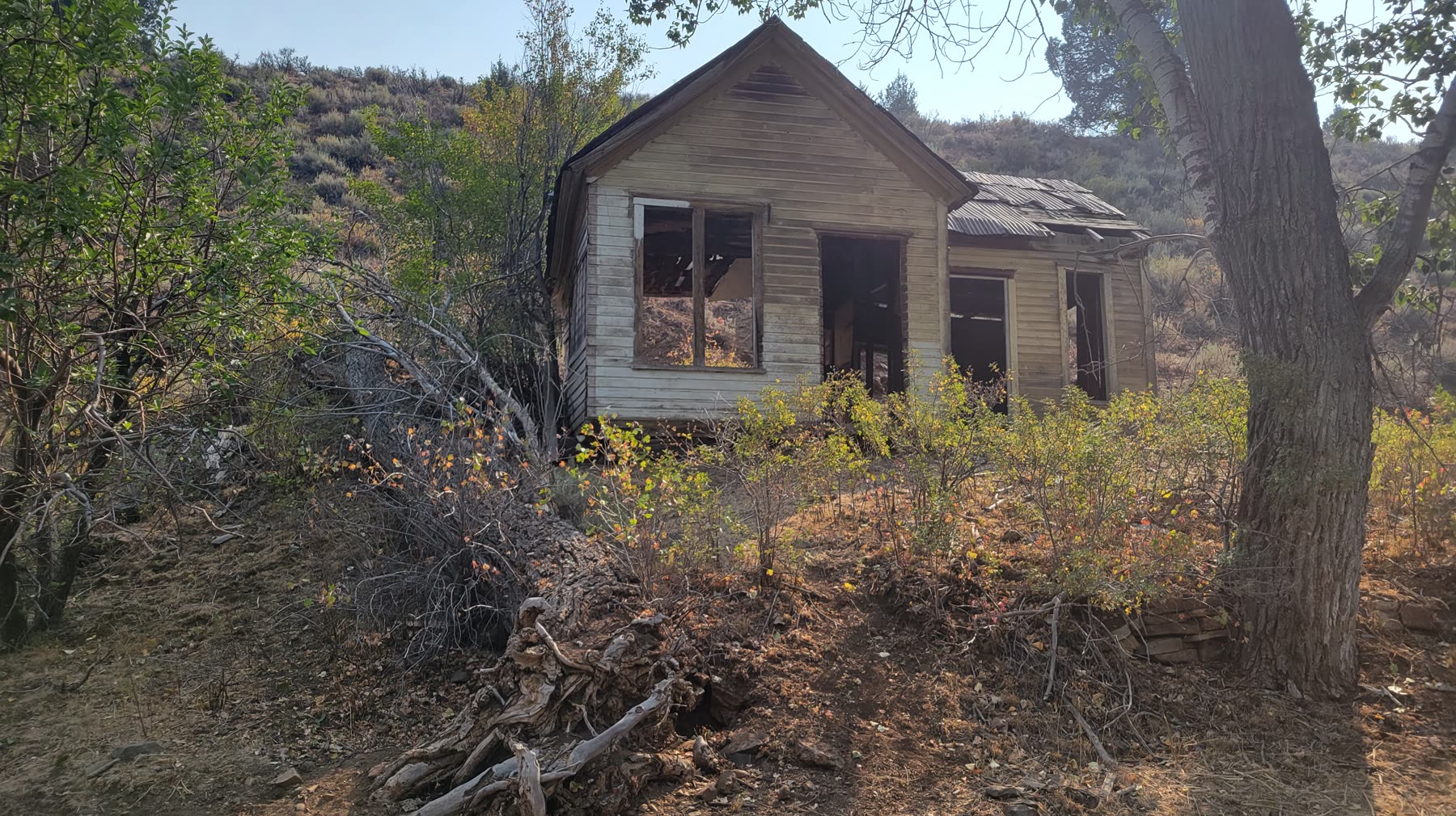 Weathered 19th-century wooden buildings of Silver City, Idaho, standing in a high mountain valley with the historic Idaho Hotel