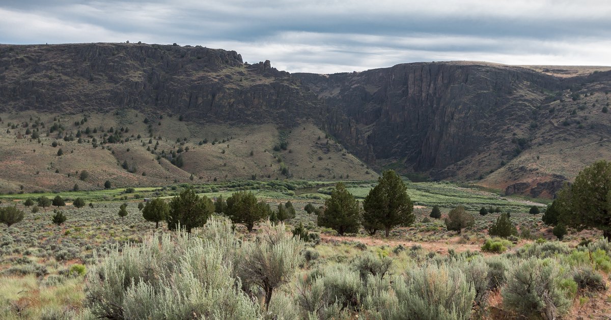 Afternoon view of the Owyhee River canyon at Three Forks, where the main, North Fork, and Middle Fork meet